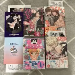 あおの晴 BL 4冊セット - メルカリ
