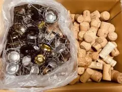 Item thumbnail for item b3edc26e-4082-4dde-af10-63e61a5a728f