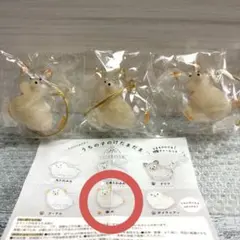 うちの子のけだまだま 犬 柴犬 3点セット