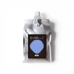 SynergyTokyo シナジーEVER (EST)1st 1000g - メルカリ