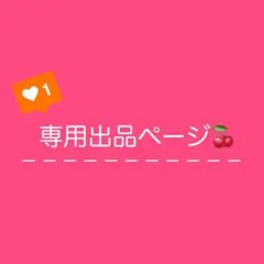 専用（ハンドメイド品5点）