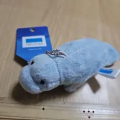 沖縄美ら海水族館　マナティー ぬいぐるみ キーホルダー　新品未使用