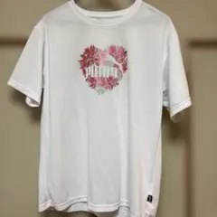 Item thumbnail for item b1f5c7b1-214d-4f18-b248-274c4701f44e