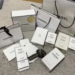 CHANEL ショップ袋 複数サイズ
