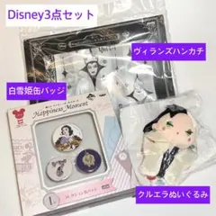 ディズニー プリンセス＆ヴィランズ 3点セット ぬいぐるみ ハンカチ 缶バッジ