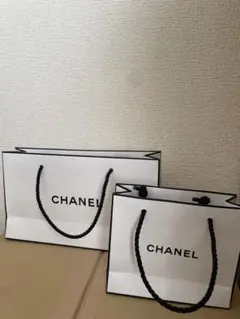 CHANEL ショップ袋 大小セット
