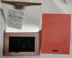 FELISSIMO ガーネット リボンチョーカー ネックレス(014)のサムネイル