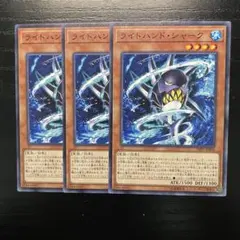 ライトハンドシャーク