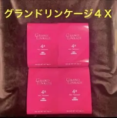 グランドリンケージ4xのサムネイル