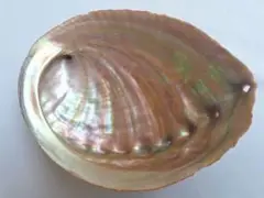 Item thumbnail for item 7007498f-a8de-4447-96fc-a12be0f2a4fe