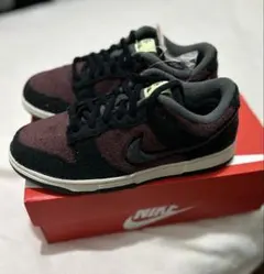 ナイキ ウィメンズ ダンクローSE CC　フリース.