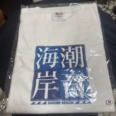 【新品未使用】ビーチボーイズ 潮音海岸 Tシャツ M反町隆史 竹野内豊のサムネイル