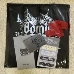 Stray Kids アプグレグッズ　dominATE エコパ　4点セット