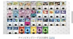 CL愛知TOP8 ブイズバレット構築済みデッキ