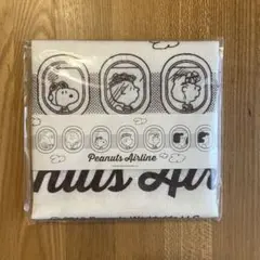 PEANUTS ふきんのサムネイル