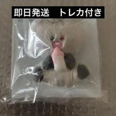 treasure ジュンギュ plush doll ドール ぬいぐるみ Amazon.co.jp: TREASURE ぬいぐるみ ジュンギュ トレカ 公式