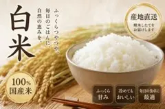 ぴよっくさん専用①白米20kg - メルカリ