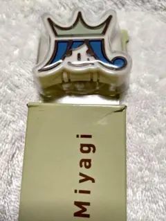 【送料込み】Arashi Blast in Miyagi 腕輪ライトのサムネイル