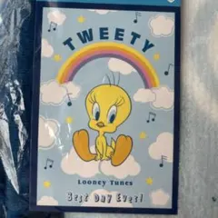 ヴィンテージ トゥイーティー ブランケット 2026年最新】トゥイーティー毛布の人気アイテム - メルカリ