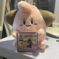 タグ付き　ピィ　ぬいぐるみ　つれてって　ポケモン