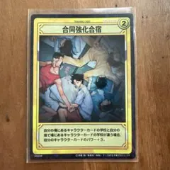 合同強化合宿　20063R 越前リョーマ　菊丸英二　テニスの王子様