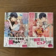 初版set 深見真 探偵王女フジコシリーズ 富士見ミステリー文庫 - メルカリ