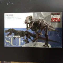恐竜博2005 ティラノサウルス「スー」フィギュア2種 - メルカリ