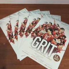 バレーボール男子日本代表　映画　GRITチラシフライヤー５枚