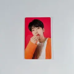 SEVENTEEN ウォヌ トレカ ケレン 2021 全身 セブチ - メルカリ