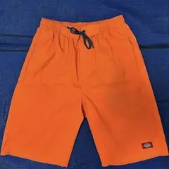 【激レア】 値下げ可能　Dickies ナイロン　ショートパンツ　ショーツ