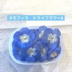 きなこ様専用　no.7.8