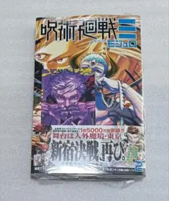 呪術廻戦≡ モジュロ 2 特典 五条悟 イラストカード 新品