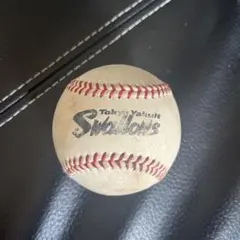 Item thumbnail for item 1849d80f-662e-49b7-8629-38007b5302e3