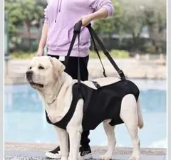 ✨新品✨犬用 介護ハーネス 歩行補助 抱っこ対応 サイズM ブラック 老犬 介護のサムネイル