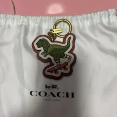 COACH キーホルダー レキシー スケートボード