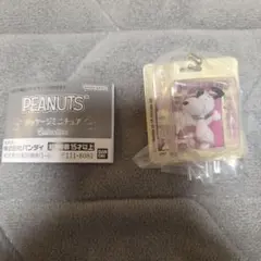 PEANUTS パッケージミニチュア Collection
