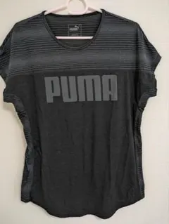 レディース　Tシャツのサムネイル