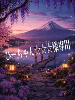 ひーちゃん☆☆☆様専用