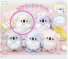 コアラのあかちゃん ガチャガチャ カプセルトイ ぬい