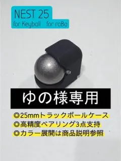 【ゆの様専用】NEST25 マットブラック