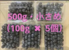 無農薬　生ブルーベリー　500gのサムネイル