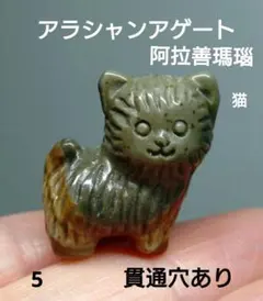 2026年最新】アラシャン 猫の人気アイテム - メルカリ