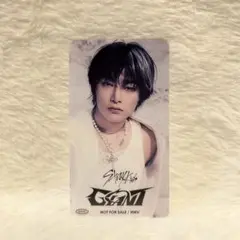 straykids GIANT 特典 HMV クリアしおり アイエン I.N