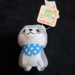 グレー豆柴　キーホルダー