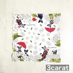 雑貨屋さんで購入