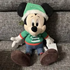 【新品未使用品・流通希少レア】正規ディズニーストア限定品　ぬいぐるみ　タグ付き
