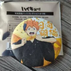 ハイキュー缶バッジ　日向翔陽