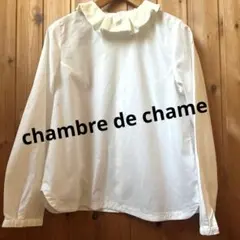 Item thumbnail for item 20bf732b-7af8-49a8-8879-65f32769f46d