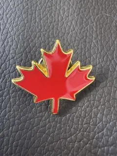 2026年最新】カナダパビリオンの人気アイテム - メルカリ