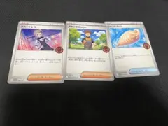 ポケカ ウエートレス タケシのスカウト ジャンボアイスオーガナイザープロモ